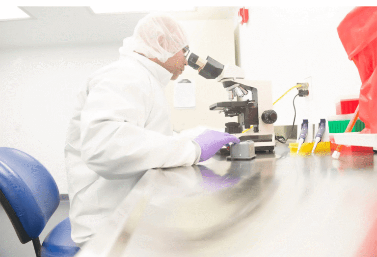 Chemical Composition Analysis